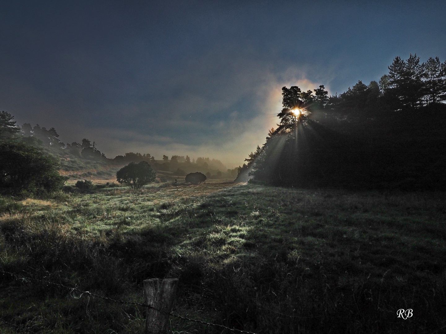 Atmosphère matinale