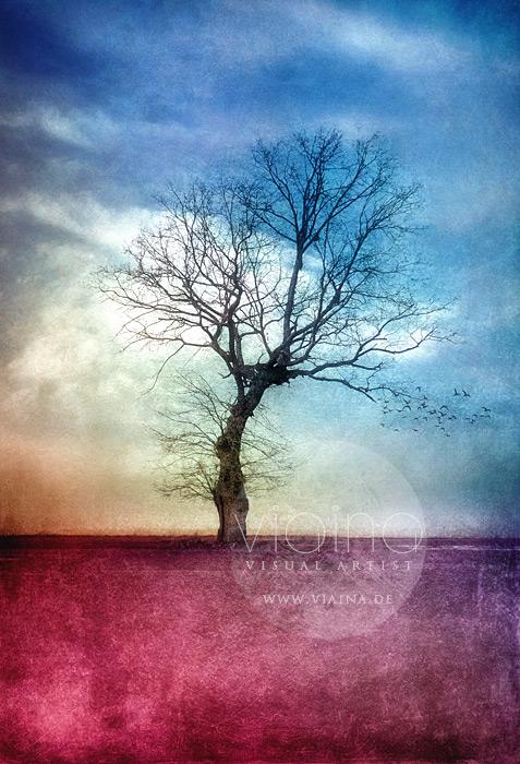 ATMOSPHERIC TREE