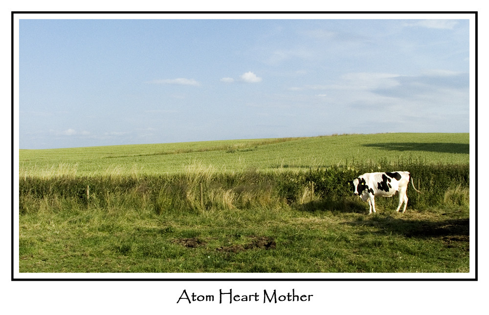 Atom Heart Mother