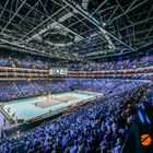 ATP World Tour Finals - Faltin Travel