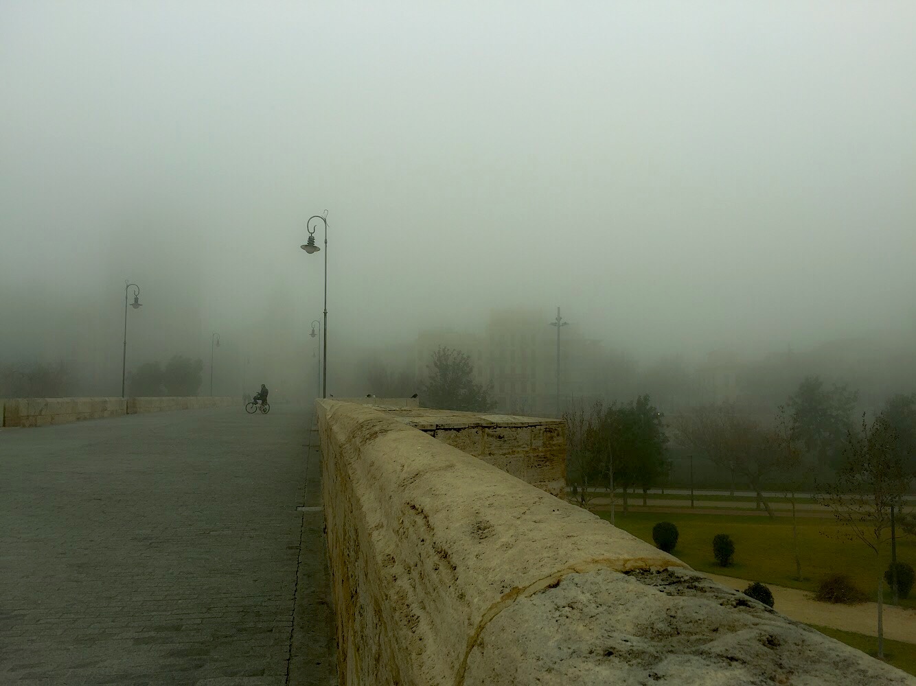 Atrapada entre niebla