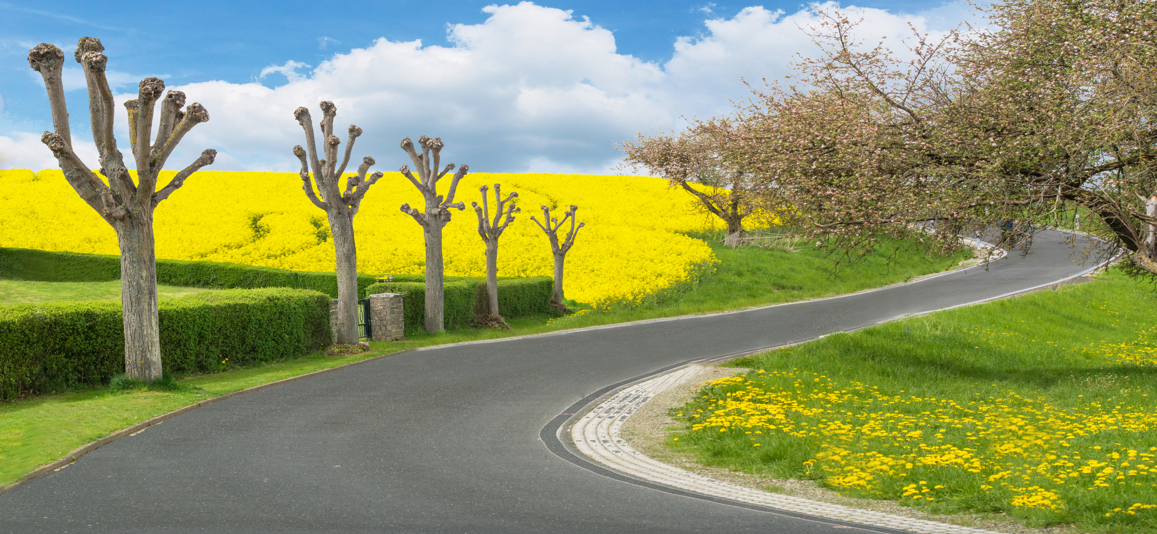 Atravesando la primavera