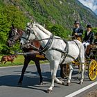 Attachi D'epoca Lostallo, Pferdesport in der Mesolcina,Misox