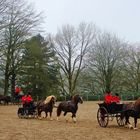 Attelages du haras d'Hennebont (Morbihan)