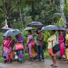 Attendre le bus sous la pluie - Contrairement à nous, les Indiens aiment la pluie !