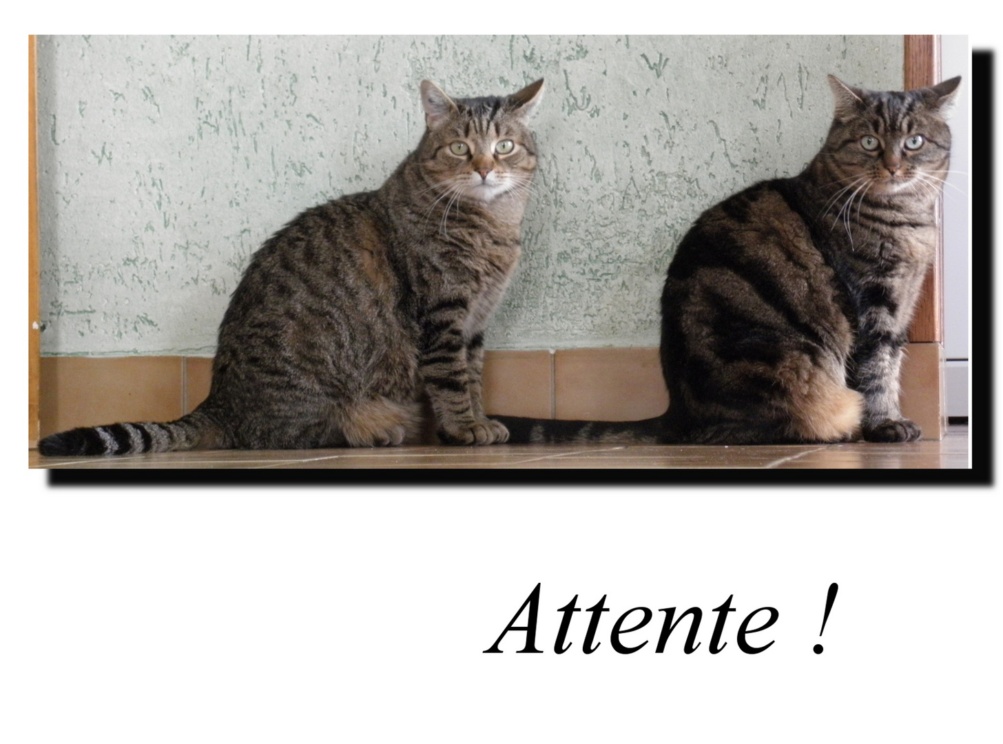 Attente !