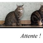 Attente !