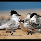 Attente du repas