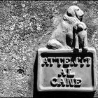 Attenti al cane (Beware of the dog)