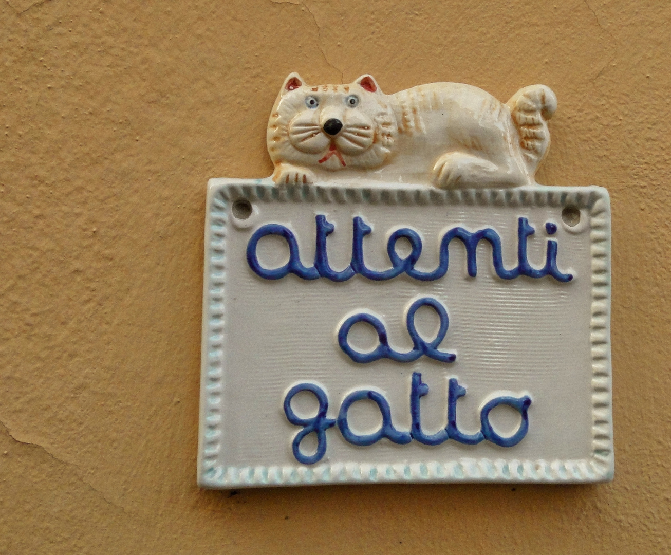 Attenti al Gatto