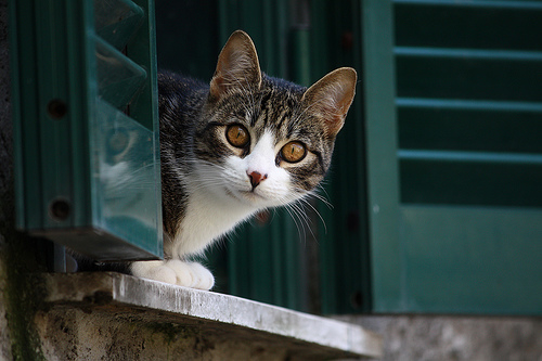 attenti che vi controllo.....