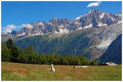 attenti ! sono le Alpi e non le Ande...