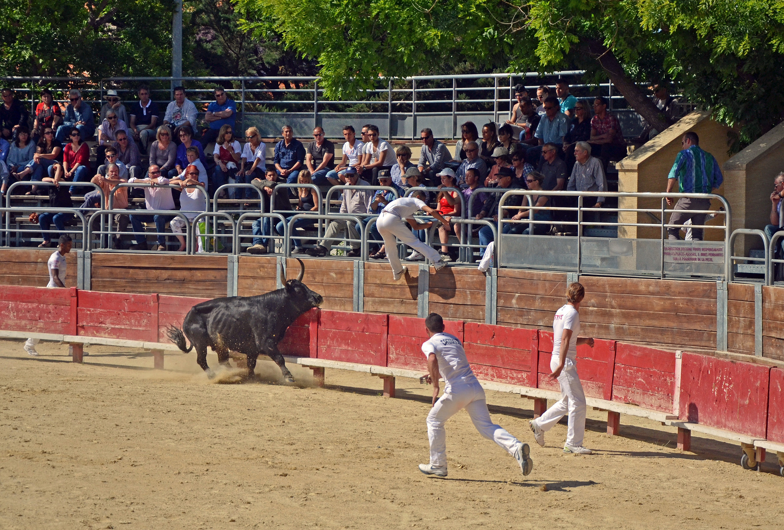 Attention au suppositoire Camarguais ! ! ! !