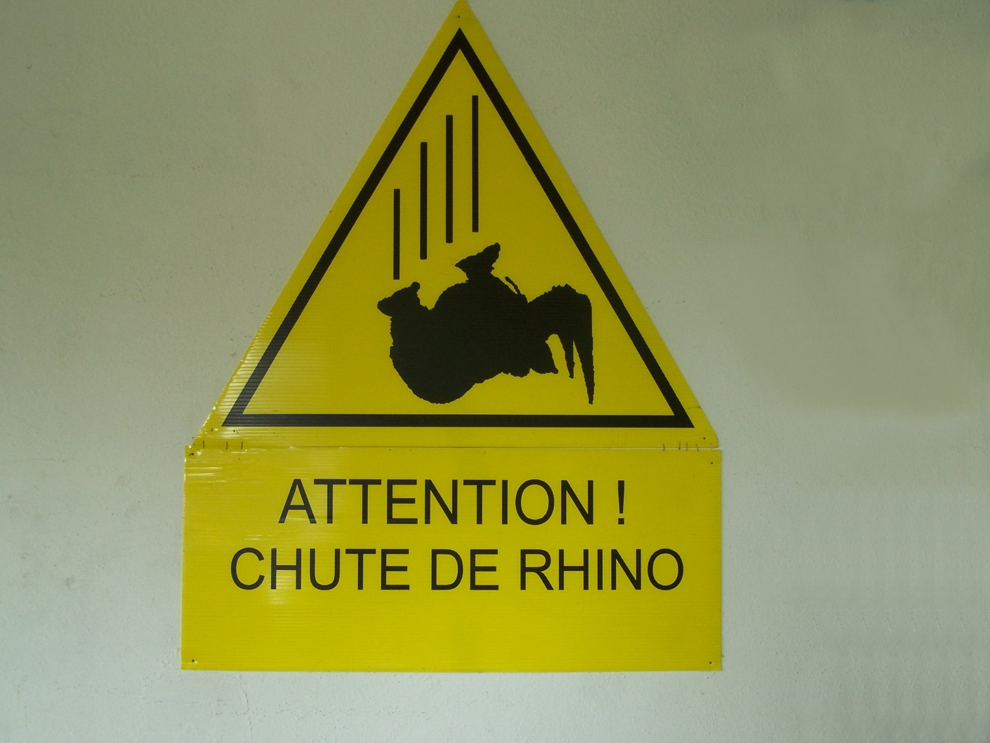 attention aux rhinos!