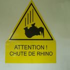 attention aux rhinos!