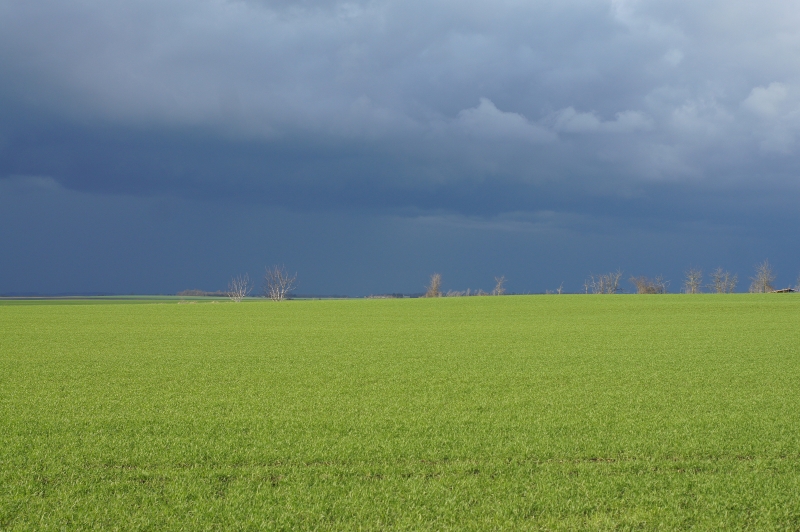 Attention giboulée en vue !!!!