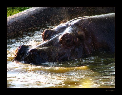 Attenzione! zona schizzi :-)