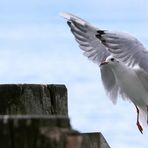 Atterrissage sur une borne d´amarrage