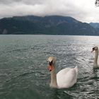 Attersee..