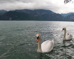 Attersee..
