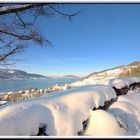 ATTERSEE