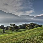 Attersee am Morgen