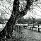 Attersee Hafen