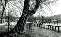 Attersee Hafen