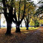 ATTERSEE SCHOSS-ALLE