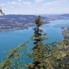 Atterseer Schoberstein Tiefblick zum Attersee 2