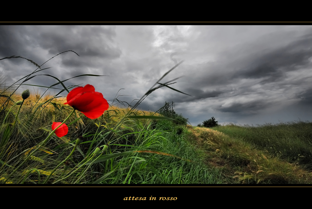 attesa in rosso