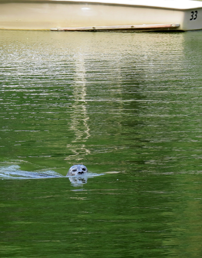 Attraktion im Karlsruher Zoo