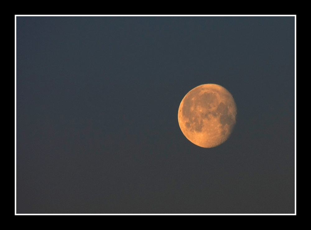 " Attraper un coup de lune par une belle nuit de printemps "