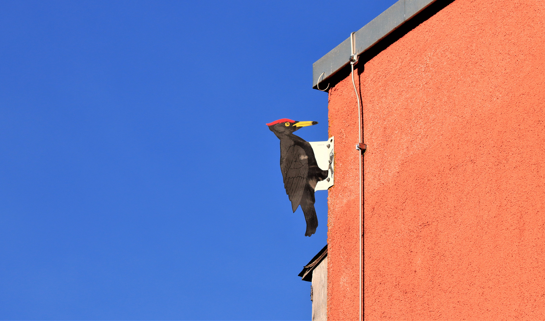 Attrappe - Vogelscheuche