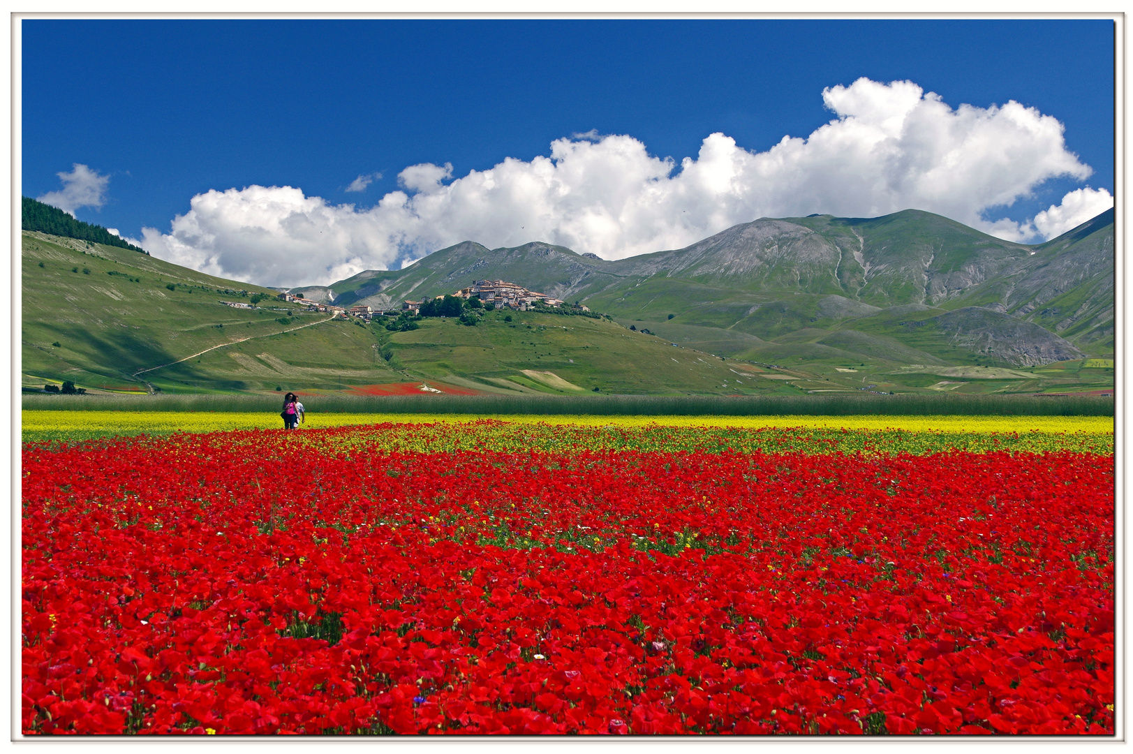 attraversare un mare rosso...