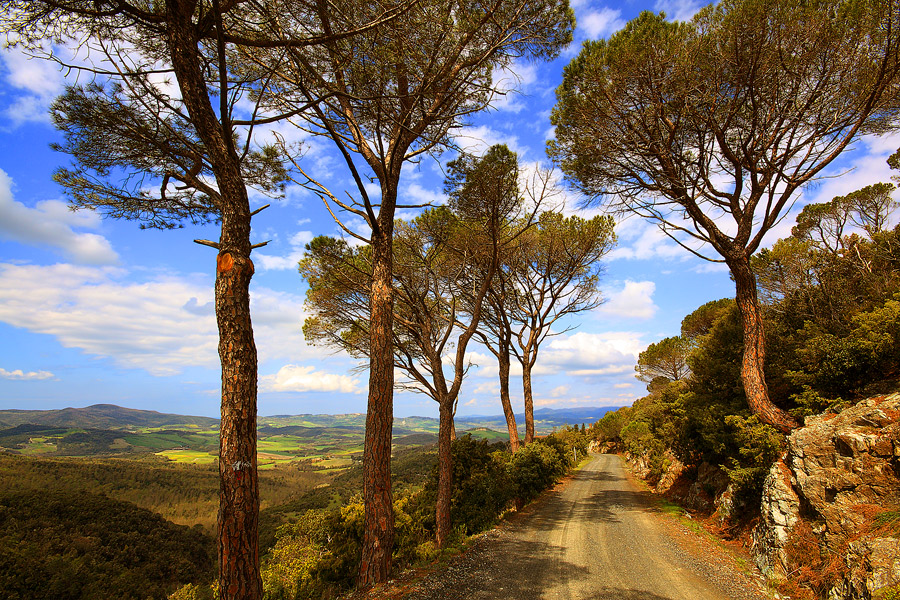 attraverso le colline metallifere