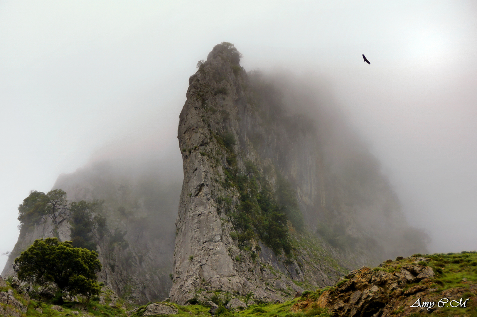 ATXARTE - MENDIOLA ..... LOS DOLOMITAS DE EUSKADI  (P.N  de URKIOLA) ..... Para JUAN GARCIA GARCIA.