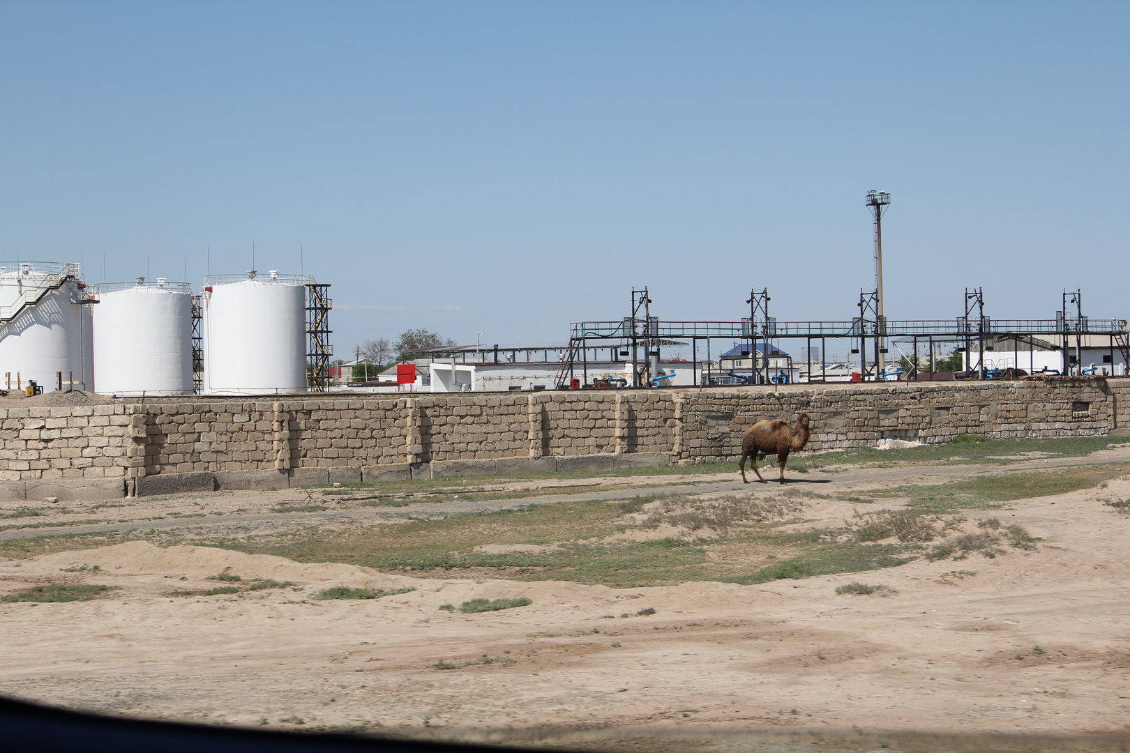 Atyrau Mai 2011 - Natur und Moderne