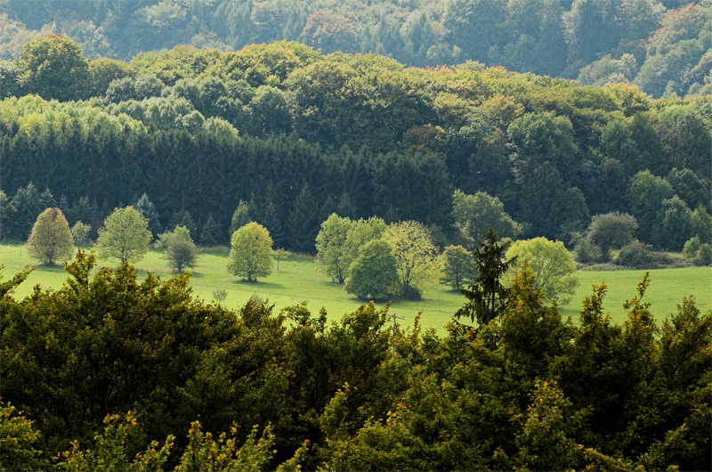 Atzelberg September 2007 #2