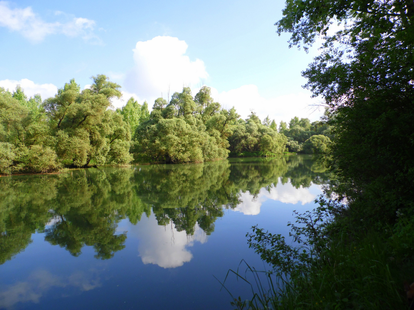 Au am Rhein