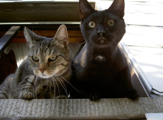 Au Backe!!! Erwischt!!!