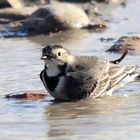 AU BAIN