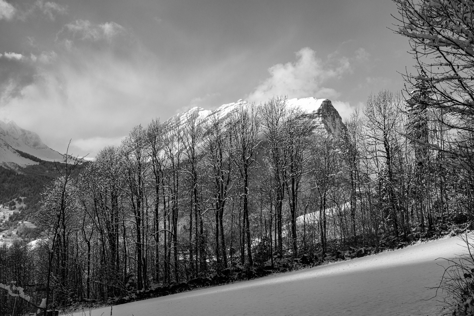 Au-Blick Kanisfluh Kopie