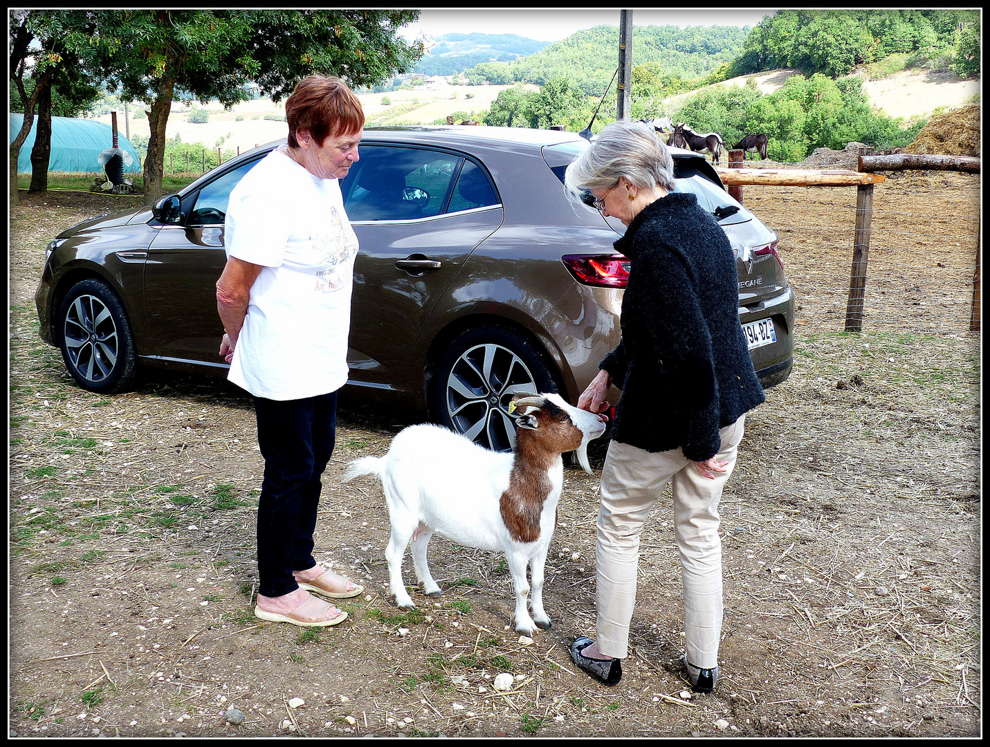 AU - BONHEUR - DES - CHEVAUX -  4 - www.aubonheurdeschevaux.org/