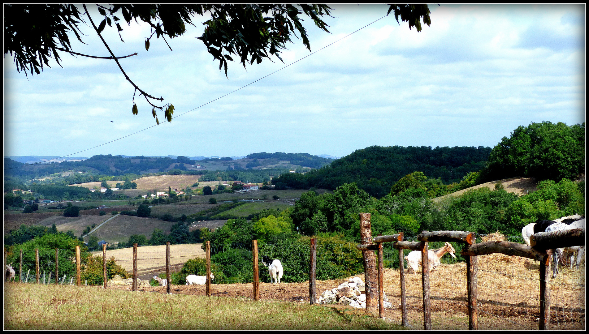 AU - BONHEUR - des - CHEVAUX - 6 - 