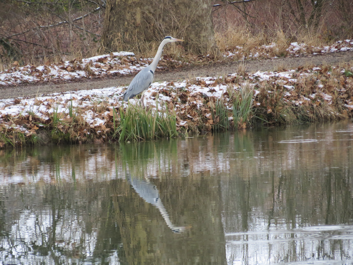 ... au bord de canal !!!...