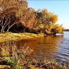 AU BORD DE FLEUVE TEJO - PALHOTA