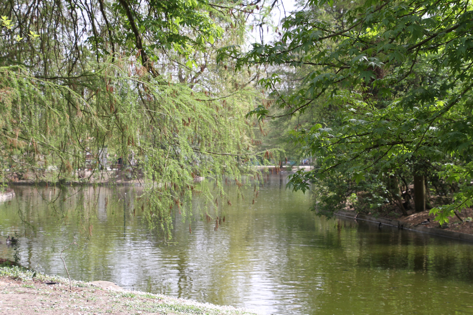 AU BORD DE L EAU