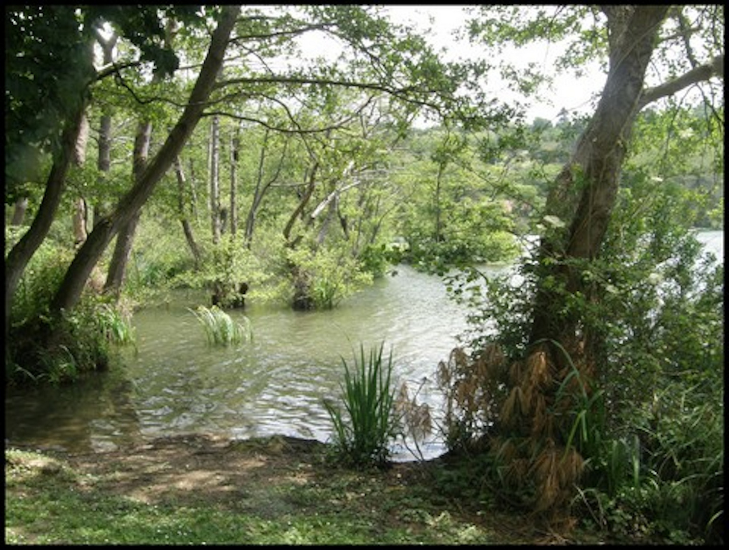 AU BORD DE L' EAU