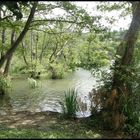 AU BORD DE L' EAU